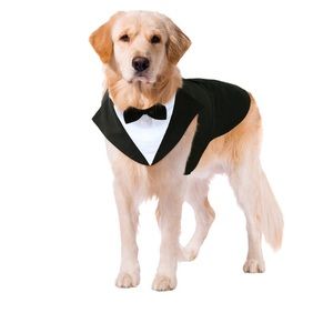 SUIT DOG